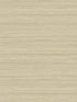 Shantung Silk fabric in rye color - pattern number TC70313 - by Seabrook in the More Textures collection