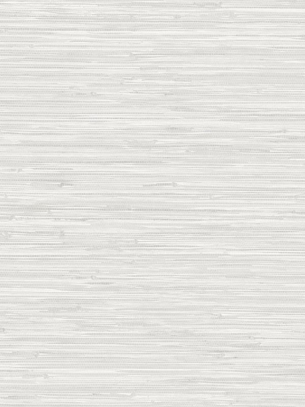 Sisal Hemp fabric in aspen color - pattern number TC70700 - by Seabrook in the More Textures collection