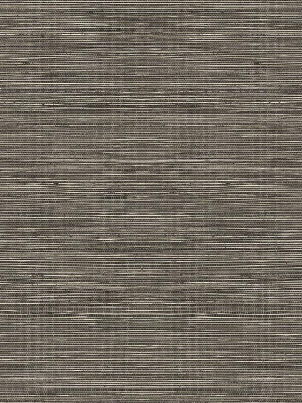 Sisal Hemp fabric in mesa color - pattern number TC70717 - by Seabrook in the More Textures collection