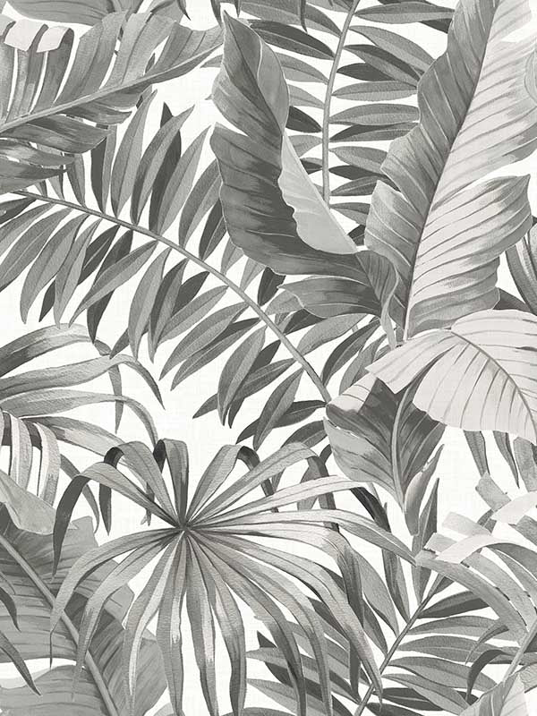 Alfresco Tropical Palm fabric in grey color - pattern number 2969-24134 - by A Street Prints in the Pacifica collection