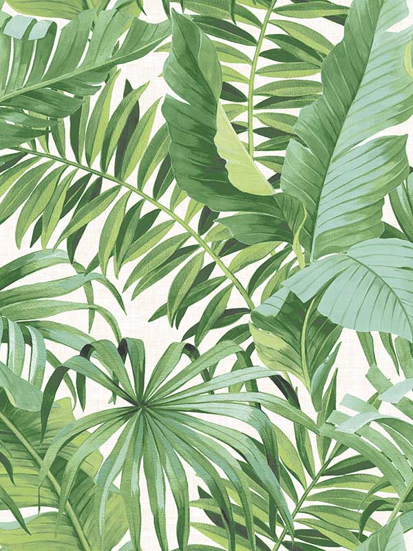 Alfresco Tropical Palm fabric in green color - pattern number 2969-24136 - by A Street Prints in the Pacifica collection
