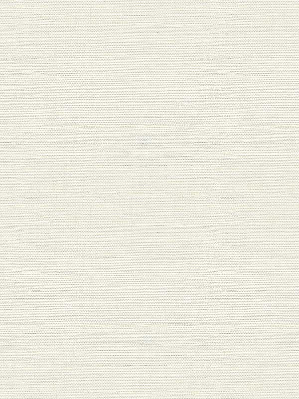 Agave Imitation Grasscloth fabric in light grey color - pattern number 2969-24281 - by A Street Prints in the Pacifica collection