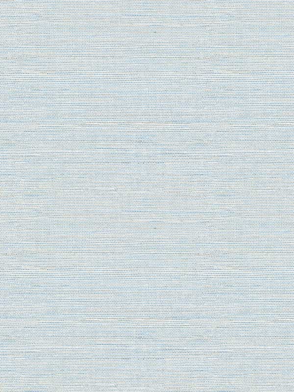 Agave Imitation Grasscloth fabric in blue color - pattern number 2969-24283 - by A Street Prints in the Pacifica collection