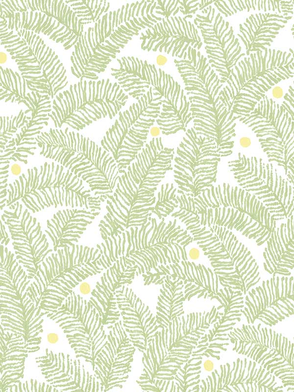 Athina Fern wallpaper in sage color - pattern number 2969-26033 - by A Street Prints in the Pacifica collection