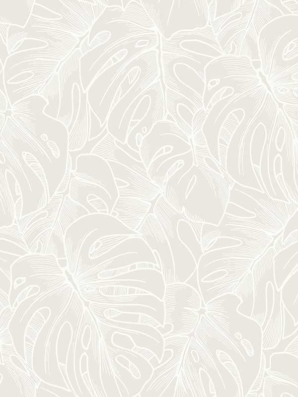 Balboa Botanical wallpaper in white color - pattern number 2964-87340 - by A Street Prints in the Scott Living collection