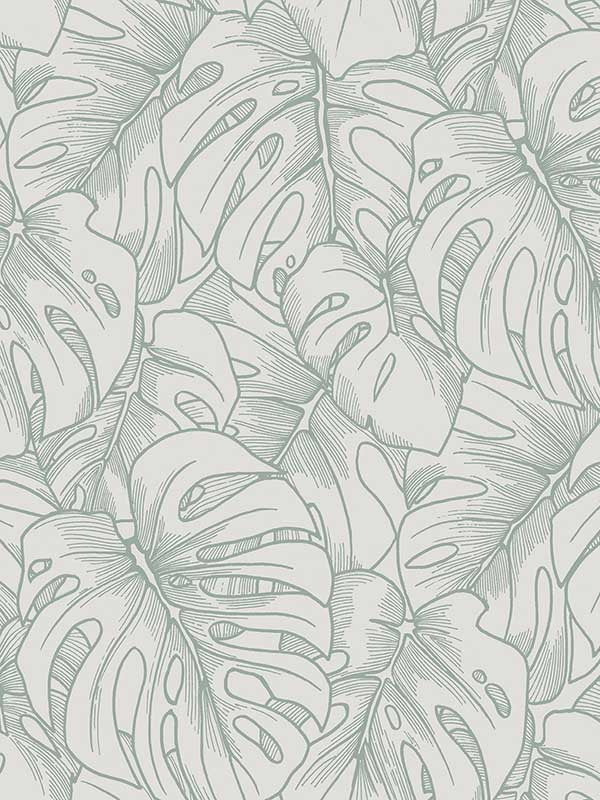 Balboa Botanical wallpaper in olive color - pattern number 2964-87342 - by A Street Prints in the Scott Living collection