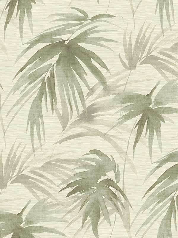 Darlana Grasscloth wallpaper in sage color - pattern number 2964-87412 - by A Street Prints in the Scott Living collection