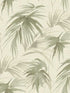 Darlana Grasscloth wallpaper in sage color - pattern number 2964-87412 - by A Street Prints in the Scott Living collection