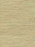 River Grass fabric in green color - pattern number NZ0780 - by York in the Grasscloth Resource Library collection