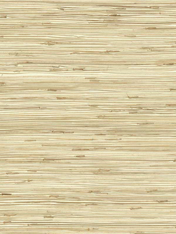 River Grass fabric in beige color - pattern number NZ0781 - by York in the Grasscloth Resource Library collection