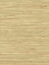 River Grass fabric in beige color - pattern number NZ0787 - by York in the Grasscloth Resource Library collection