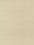Sisal Grasscloth fabric in grey and taupe color - pattern number NZ0791 - by York in the Grasscloth Resource Library collection