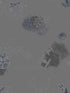 Star Wars Good Night Galaxy fabric in black color - pattern number DI0999 - by York in the Disney Kids Vol 4 collection