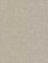 Gunny Sack Texture fabric in taupe color - pattern number 5553 - by York in the Tropics Resource Library collection