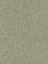 Gunny Sack Texture fabric in green color - pattern number 5974 - by York in the Tropics Resource Library collection