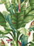Banana Leaf fabric in aqua and red color - pattern number AT7068 - by York in the Tropics Resource Library collection