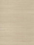 Sisal Grasscloth fabric in wheat color - pattern number GC0700 - by York in the Tropics Resource Library collection