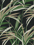 Tropical Paradise fabric in green and black color - pattern number TC2606 - by York in the Tropics Resource Library collection