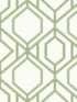 Sawgrass Trellis fabric in green color - pattern number TC2631 - by York in the Tropics Resource Library collection