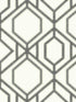 Sawgrass Trellis fabric in white and grey color - pattern number TC2632 - by York in the Tropics Resource Library collection