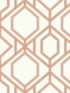 Sawgrass Trellis fabric in coral color - pattern number TC2636 - by York in the Tropics Resource Library collection