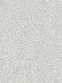 Leopard King fabric in grey color - pattern number TC2683 - by York in the Tropics Resource Library collection
