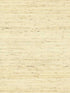 Arrowroot fabric in off white color - pattern number CP9345 - by York in the Waters Edge Resource Library collection