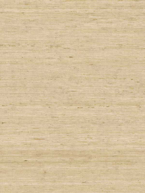 Arrowroot fabric in cream color - pattern number CV4401 - by York in the Waters Edge Resource Library collection