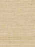 Arrowroot fabric in cream color - pattern number CV4401 - by York in the Waters Edge Resource Library collection
