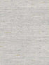 Arrowroot fabric in light blue color - pattern number CV4402 - by York in the Waters Edge Resource Library collection
