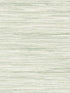 Bahiagrass fabric in green color - pattern number CV4413 - by York in the Waters Edge Resource Library collection
