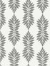 Broadsands Botanica fabric in grey and off white color - pattern number CV4427 - by York in the Waters Edge Resource Library collection