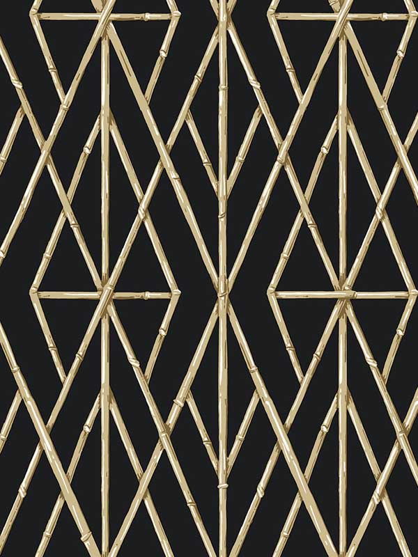 Riviera Bamboo Trellis fabric in black color - pattern number CV4448 - by York in the Waters Edge Resource Library collection