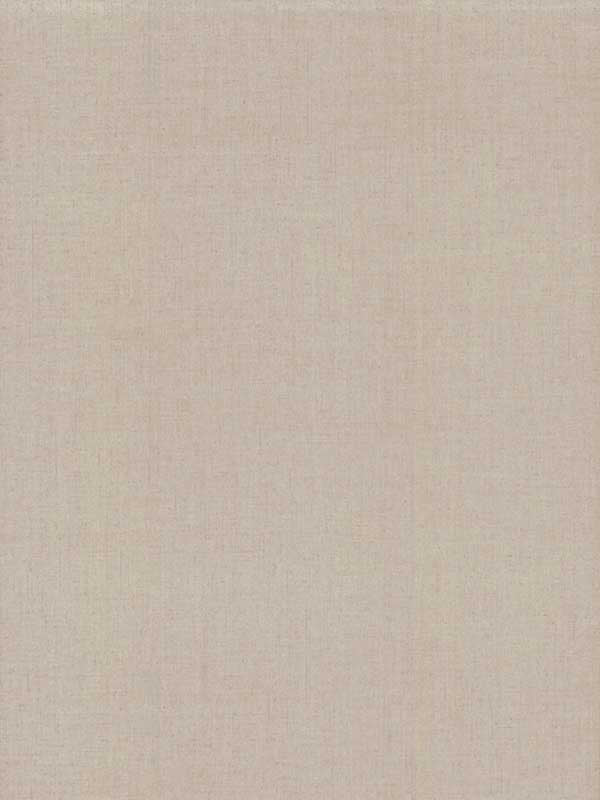 Diplomacy Weave fabric in cream color - pattern number 5873 - by Ronald Redding in the Traveler collection
