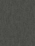 Feather Fletch wallpaper in black color - pattern number HO2139 - by Ronald Redding in the Traveler collection