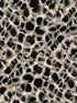 Leopard Rosettes wallpaper in black color - pattern number HO2162 - by Ronald Redding in the Traveler collection