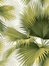 Summer Palm Tropical fabric in green color - pattern number 2927-40114 - by A Street Prints in the Newport collection