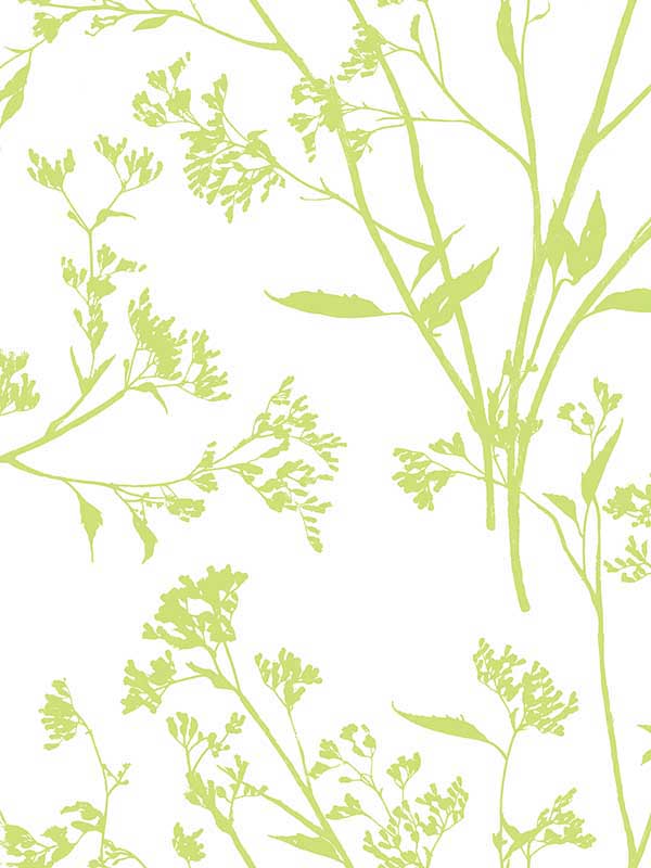 Southport Delicate Branches fabric in chartreuse color - pattern number 2927-80704 - by A Street Prints in the Newport collection