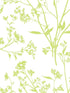Southport Delicate Branches fabric in chartreuse color - pattern number 2927-80704 - by A Street Prints in the Newport collection
