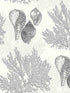 Nauset shell Shores wallpaper in black color - pattern number 2927-81200 - by A Street Prints in the Newport collection