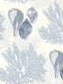 Nauset shell Shores wallpaper in blue color - pattern number 2927-81202 - by A Street Prints in the Newport collection