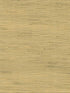 Shan Grasscloth wallpaper in light green color - pattern number 4018-21 - by Advantage in the Grasscloth Portfolio collection
