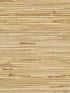 Altay Grasscloth wallpaper in maize color - pattern number 4018-58 - by Advantage in the Grasscloth Portfolio collection