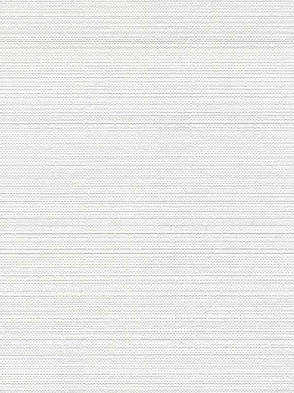 MacLise Knit Texture Paintable fabric in white color - pattern number 4000-67460 - by Brewster in the Paintworks collection