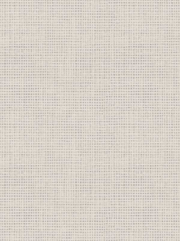 Nimmie Basketweave fabric in light grey color - pattern number 3123-10010 - by Chesapeake in the Homestead collection