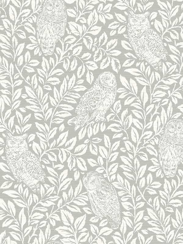 Parliament Owl wallpaper in grey color - pattern number 3123-12411 - by Chesapeake in the Homestead collection