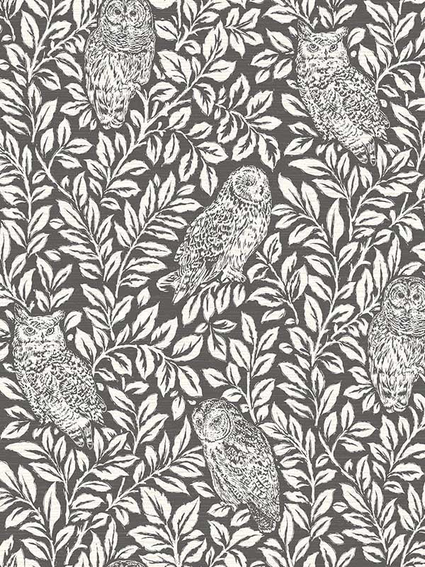 Parliament Owl wallpaper in charcoal color - pattern number 3123-12415 - by Chesapeake in the Homestead collection