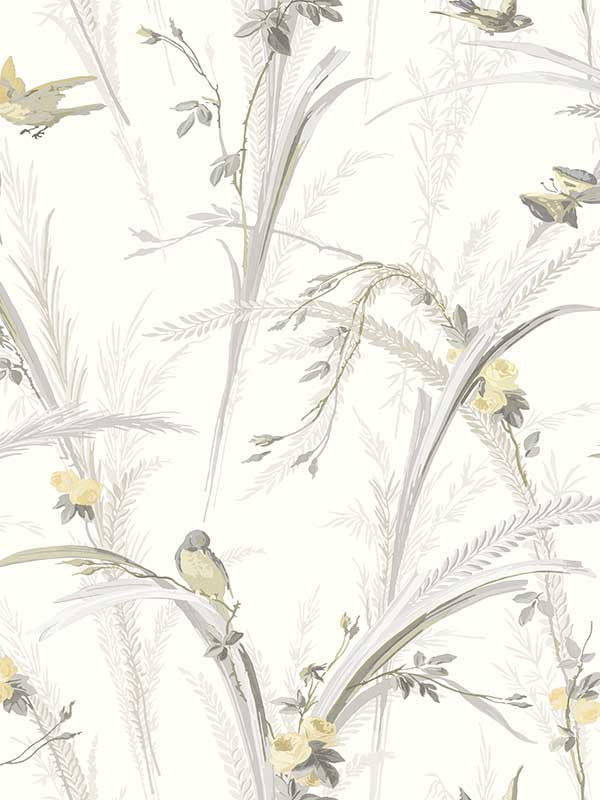 Meadowlark Botanical wallpaper in yellow color - pattern number 3123-193210 - by Chesapeake in the Homestead collection