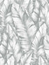 Baha Banana Leaves Peel and Stick wallpaper in daydream gray color - pattern number NW37908 - by NextWall in the Peel and Stick Wallpaper by Nextwall collection