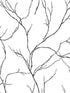 Delicate Branches Peel and Stick wallpaper in ebony color - pattern number NW39000 - by NextWall in the Peel and Stick Wallpaper by Nextwall collection